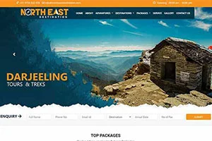 Travel Website